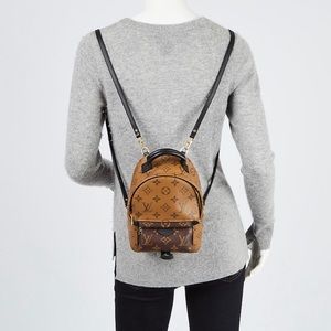 Louis Vuitton Palm Springs Mini